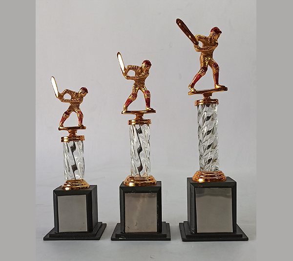 Cricket Trophy Collection in pune